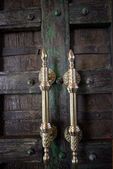 Exquisite Brass Door Handle — Dhvajaṅka