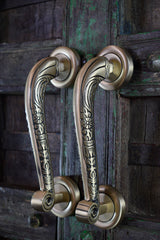 Exquisite Brass Door Handle — Rūpāṅka