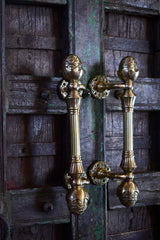 Exquisite Brass Door Handle — Vāstuṅka Antique Hardware