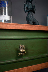 Pull Knob Owl - Pashu Collection