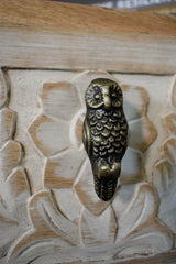 Pull Knob Owl2 - Pashu Collection