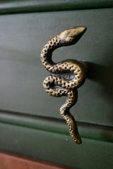 Pull Knob Snake - Pashu Collection