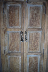 Brass Cabinet Handle - Pavilion Peacock Pull