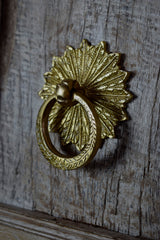 Brass Door Knocker — Petals