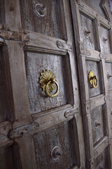 Brass Door Knocker — Petals
