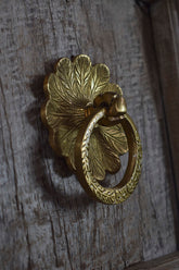 Brass door knocker with leaf design on a wooden door