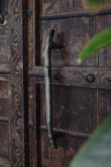 Close-up of an ornate wooden door with a metal handle and decorative carvings.