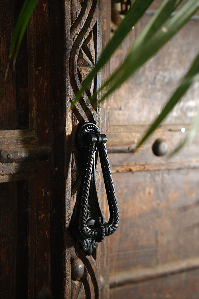 Decorative metal door handle on a wooden door with green leaves in the background
