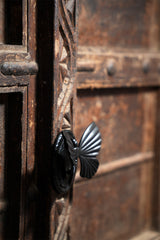 Iron Door Knocker — Titli