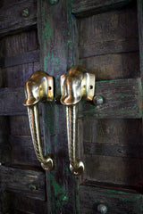 Exquisite Brass Door Handle — Haathi