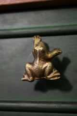 Pull Knob Frog - Pashu Collection