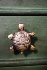 Pull Knob Tortoise - Pashu Collection