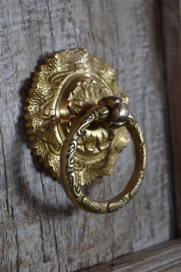 Decorative brass door knocker on a wooden door