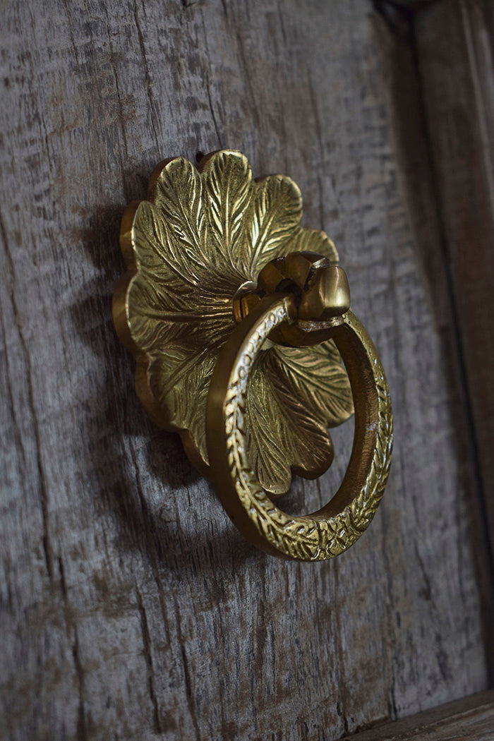 Brass door knocker with leaf design on a wooden door