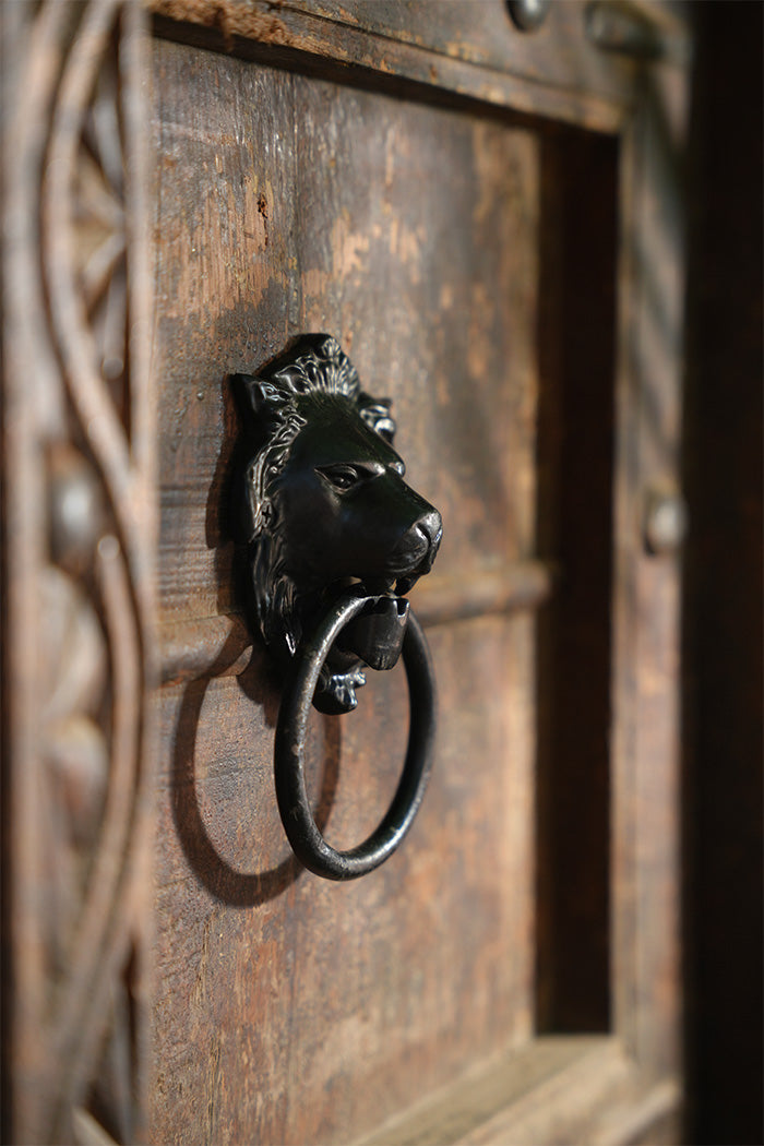Decorative black door knocker shaped like a lion's head on a wooden door.