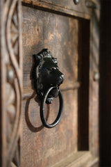 Decorative black door knocker shaped like a lion's head on a wooden door.